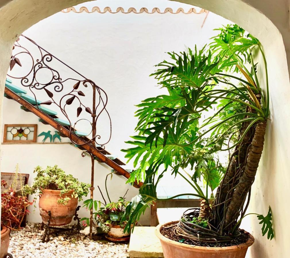 Casa Del Teatro Luxury Casas Vejer Debra Villa เวเฮร์ เด ลา ฟรอนเตรา ภายนอก รูปภาพ